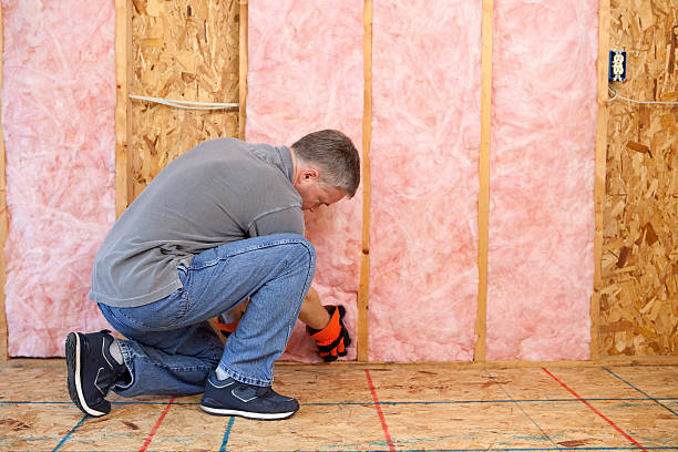 Best Types of Insulation in Fabens, TX